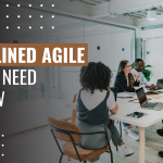 Disciplined Agile All You Need to Know